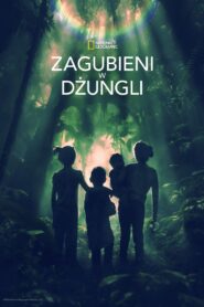 Zagubieni w dżungli